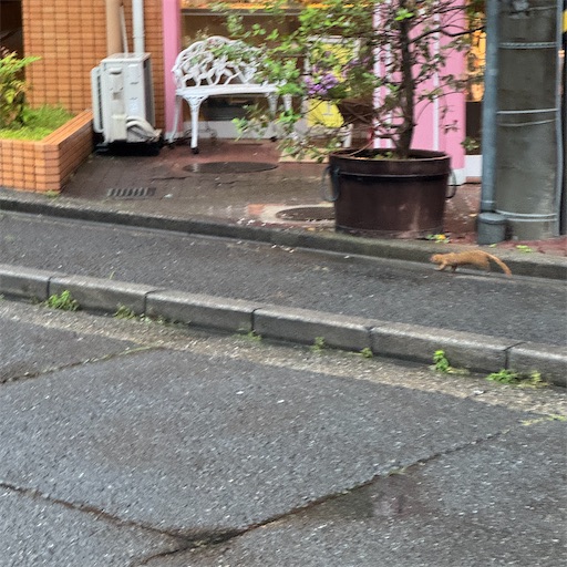 f:id:EBINA:20250610222705j:image