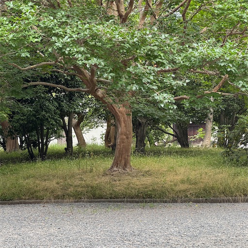 f:id:EBINA:20250623221612j:image