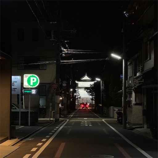 f:id:EBINA:20250626224216j:image
