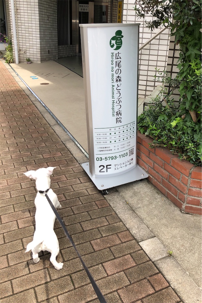 f:id:EBISUINU:20200616210902j:plain f:id:EBISUINU:20200616210902j:plain