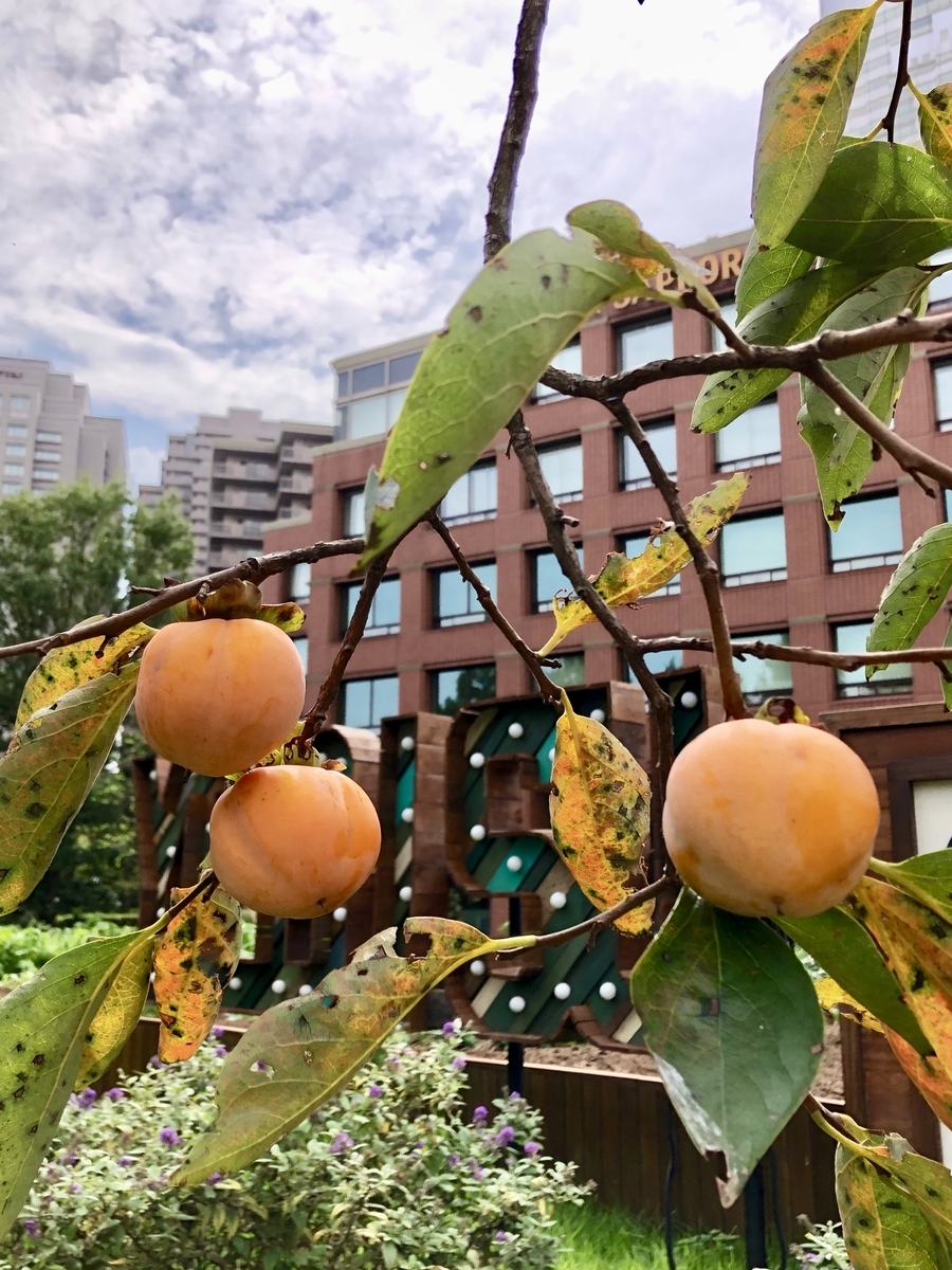 f:id:EBISUINU:20201003170230j:plain