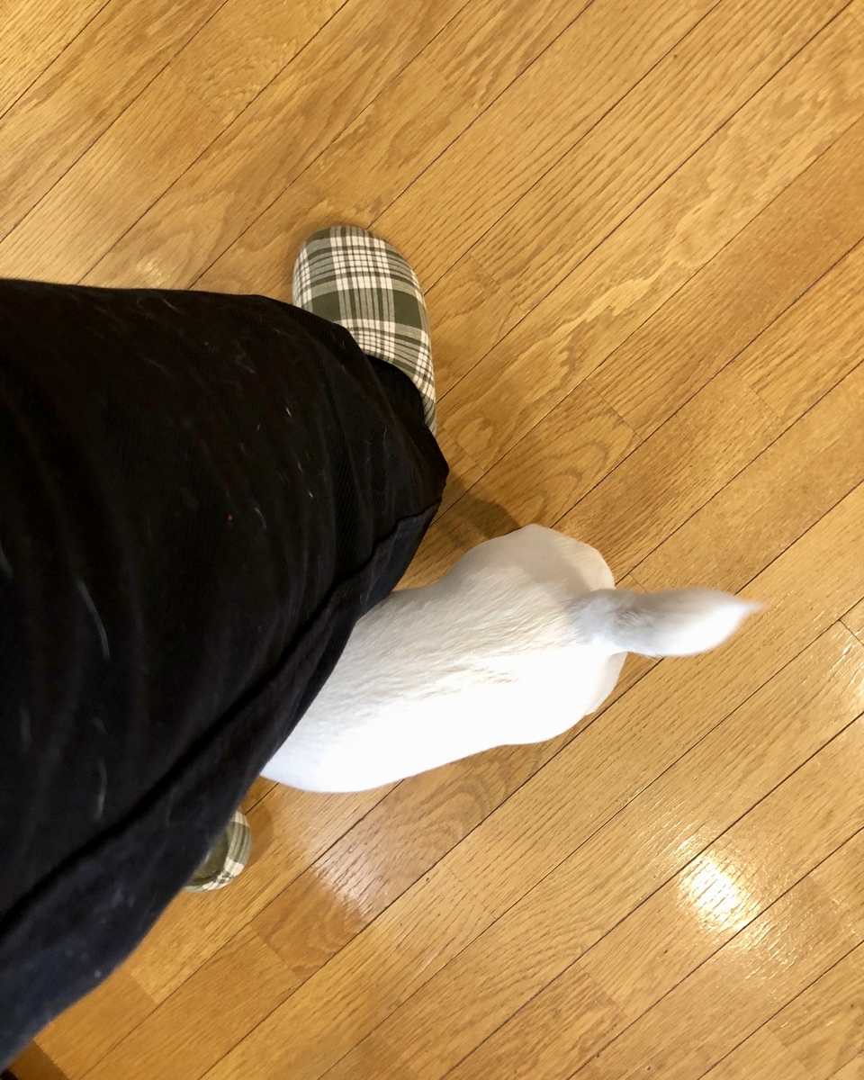 f:id:EBISUINU:20201003175947j:plain f:id:EBISUINU:20201003175947j:plain