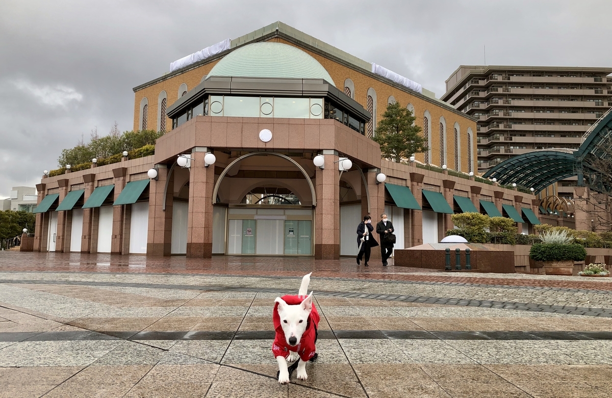 f:id:EBISUINU:20210302113531j:plain
