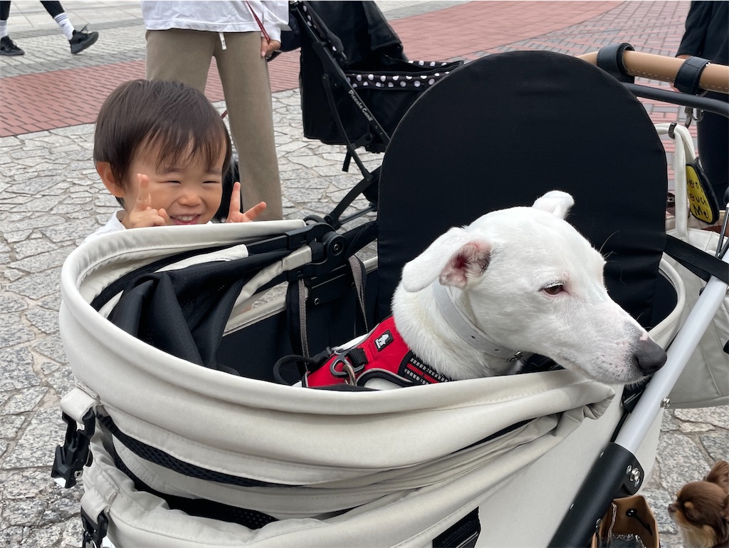 f:id:EBISUINU:20230528084255j:image f:id:EBISUINU:20230528084255j:image