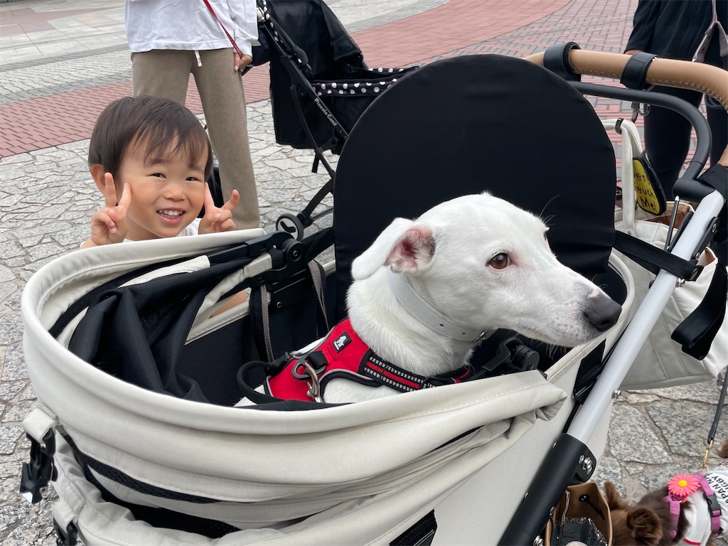 f:id:EBISUINU:20230528084258j:image f:id:EBISUINU:20230528084258j:image