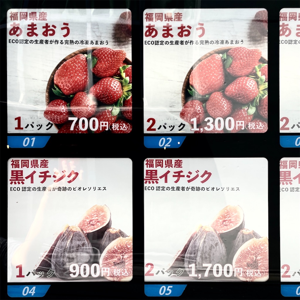 f:id:EBISUINU:20230620205339j:image