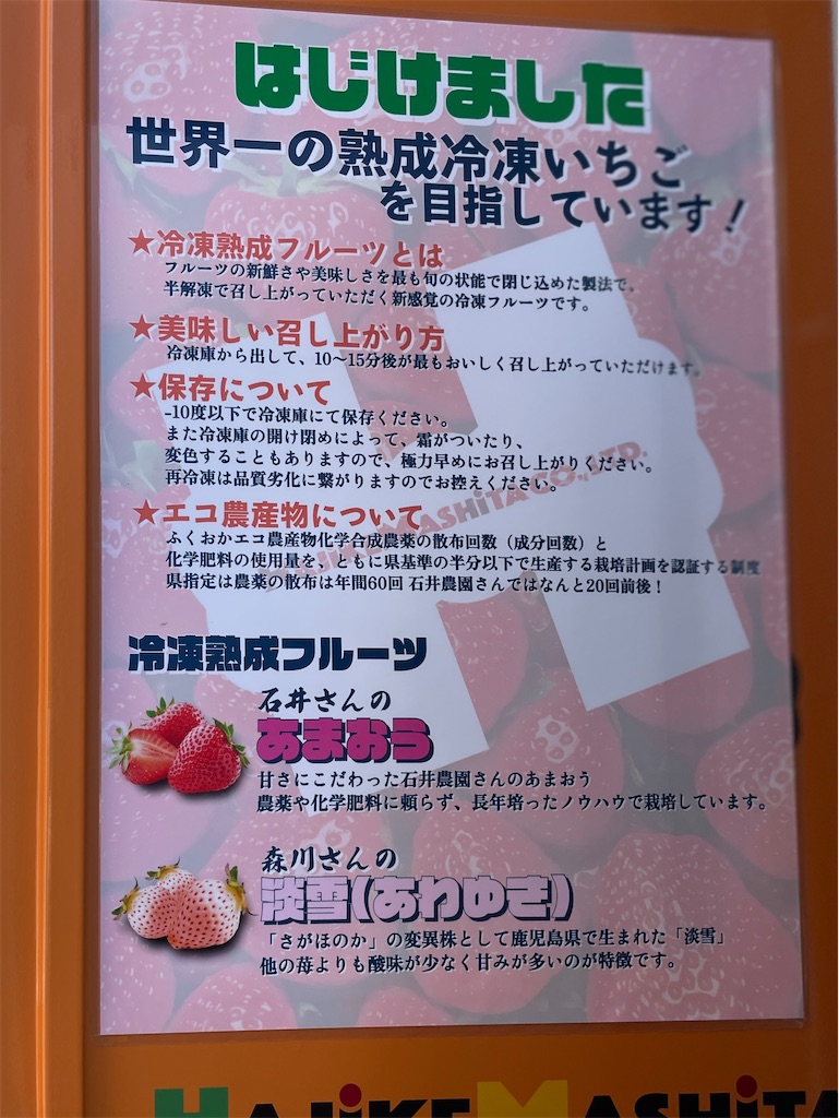 f:id:EBISUINU:20230621091041j:image
