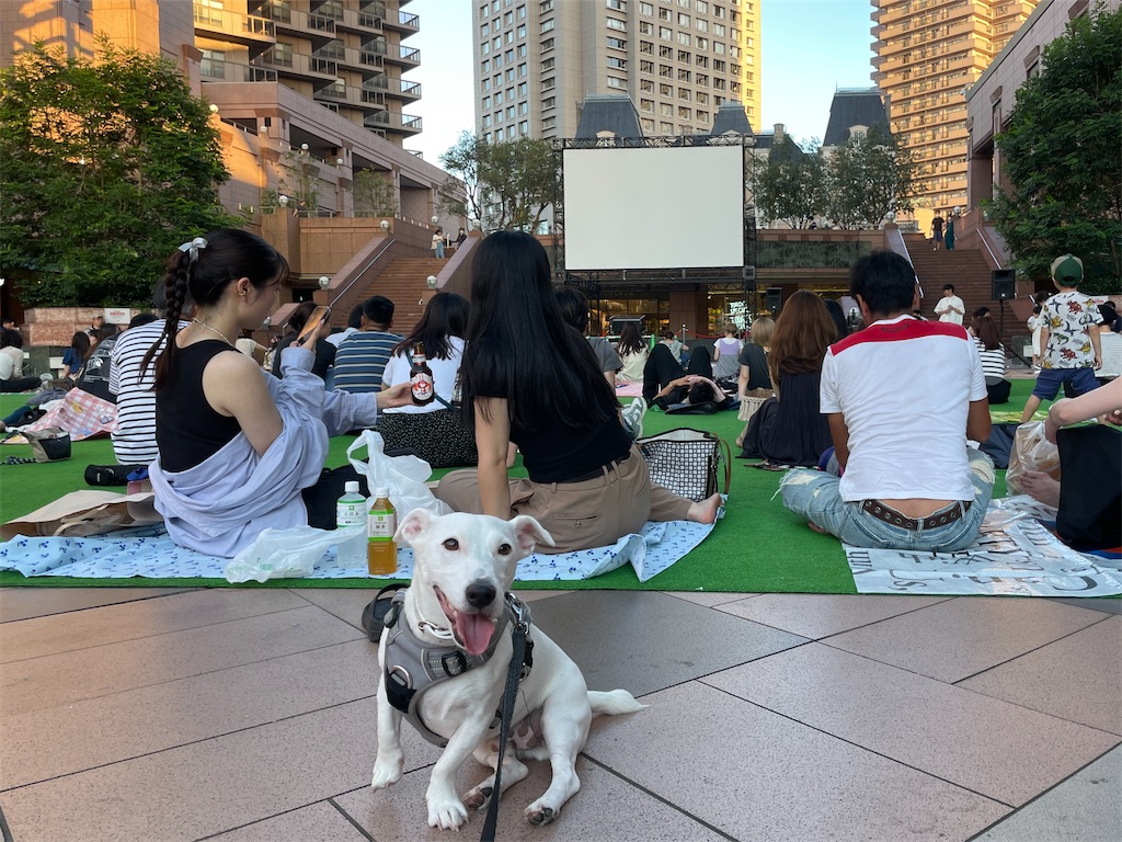 f:id:EBISUINU:20230812183000j:image f:id:EBISUINU:20230812183000j:image