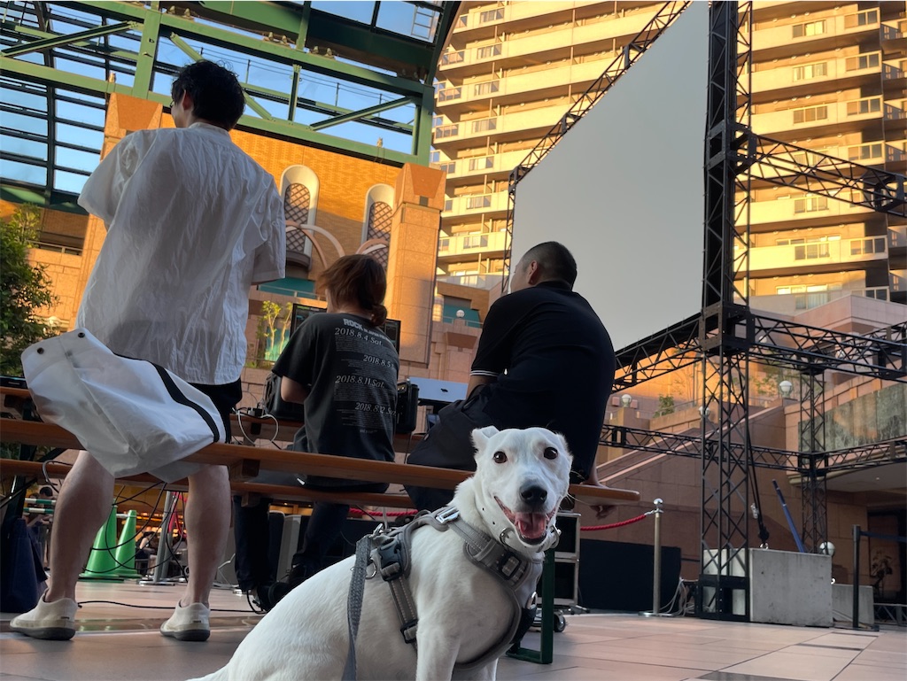 f:id:EBISUINU:20230812183147j:image f:id:EBISUINU:20230812183147j:image