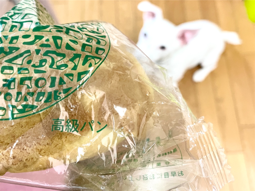 f:id:EBISUINU:20230824174712j:image