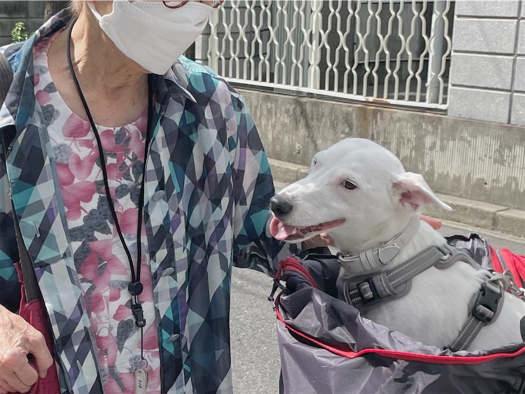 f:id:EBISUINU:20230826212628j:image