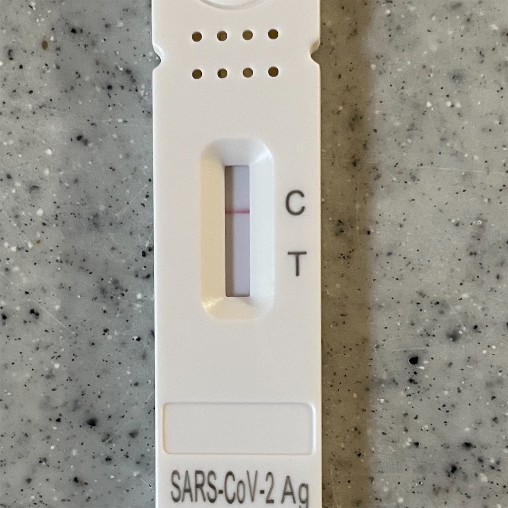 f:id:EBISUINU:20230901142034j:image f:id:EBISUINU:20230901142034j:image