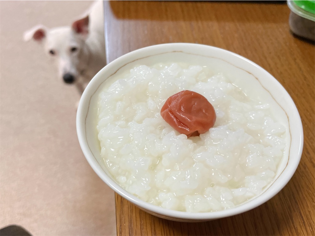 f:id:EBISUINU:20230901142202j:image f:id:EBISUINU:20230901142202j:image