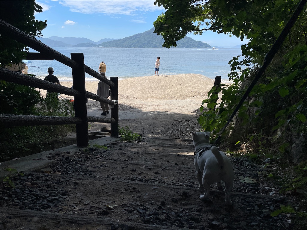 f:id:EBISUINU:20230905143408j:image f:id:EBISUINU:20230905143408j:image