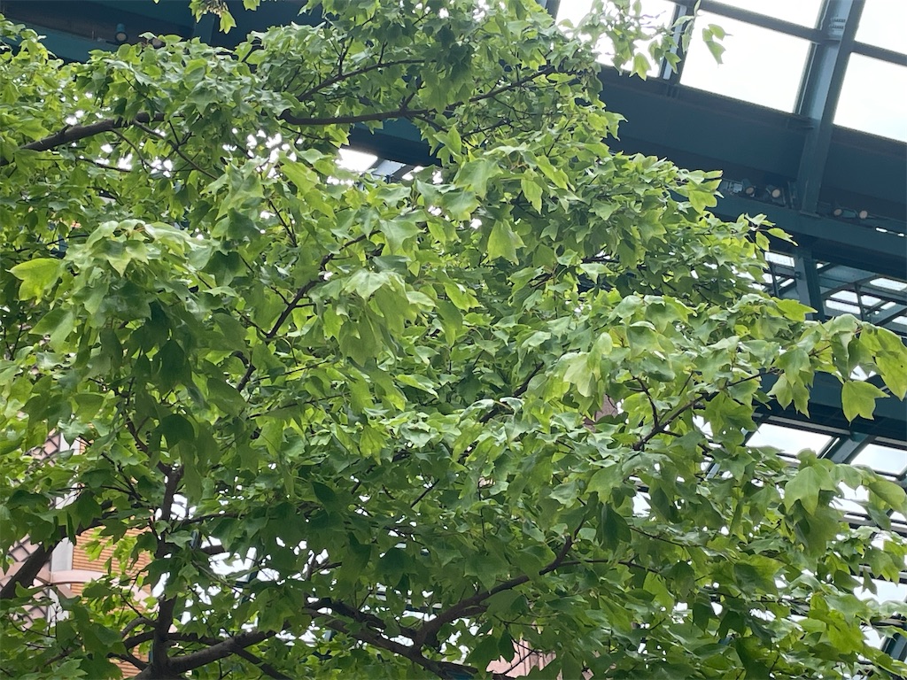 f:id:EBISUINU:20230922194706j:image f:id:EBISUINU:20230922194706j:image