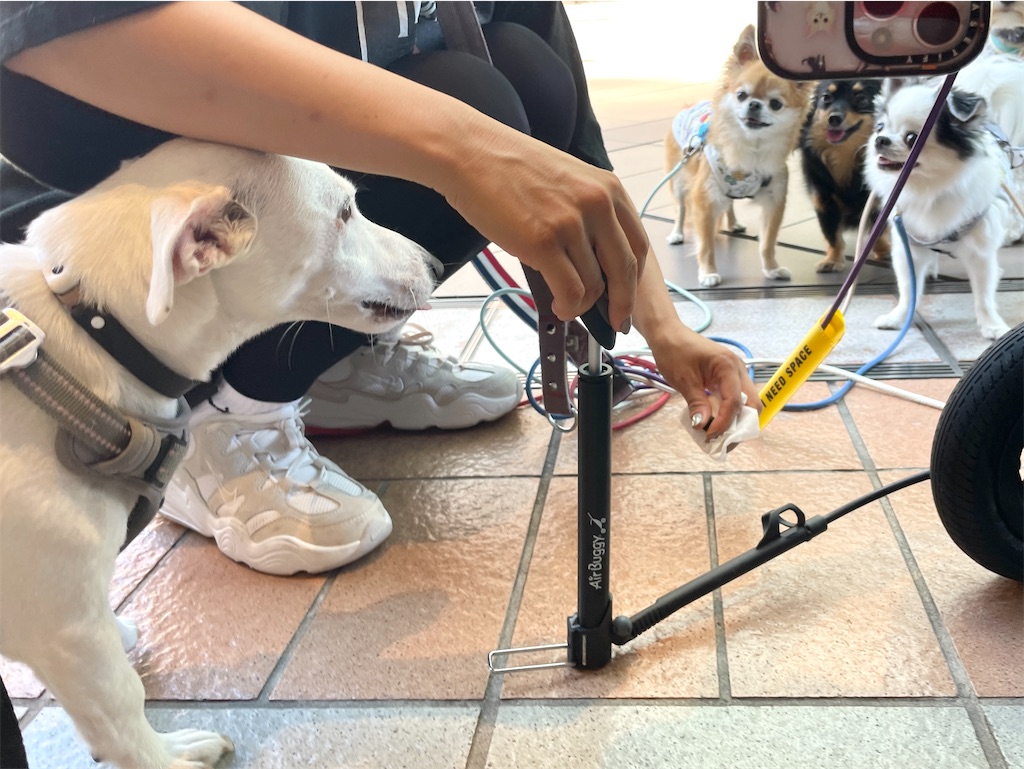 f:id:EBISUINU:20230925180339j:image