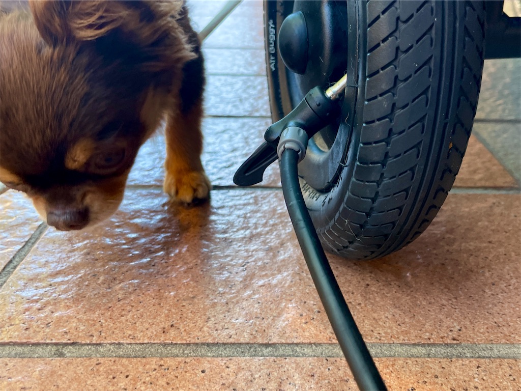 f:id:EBISUINU:20230925181657j:image