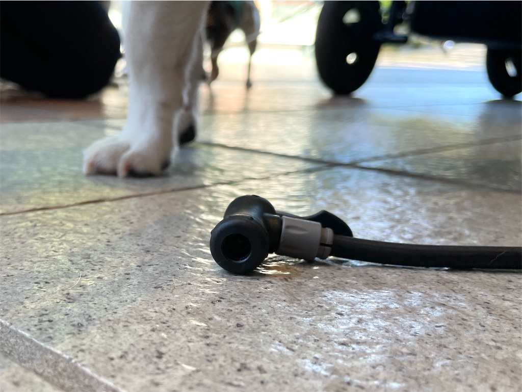 f:id:EBISUINU:20230925181700j:image