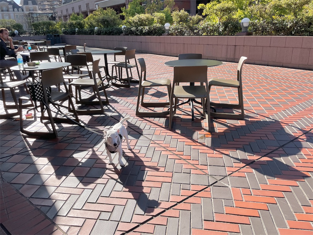 f:id:EBISUINU:20231105202810j:image