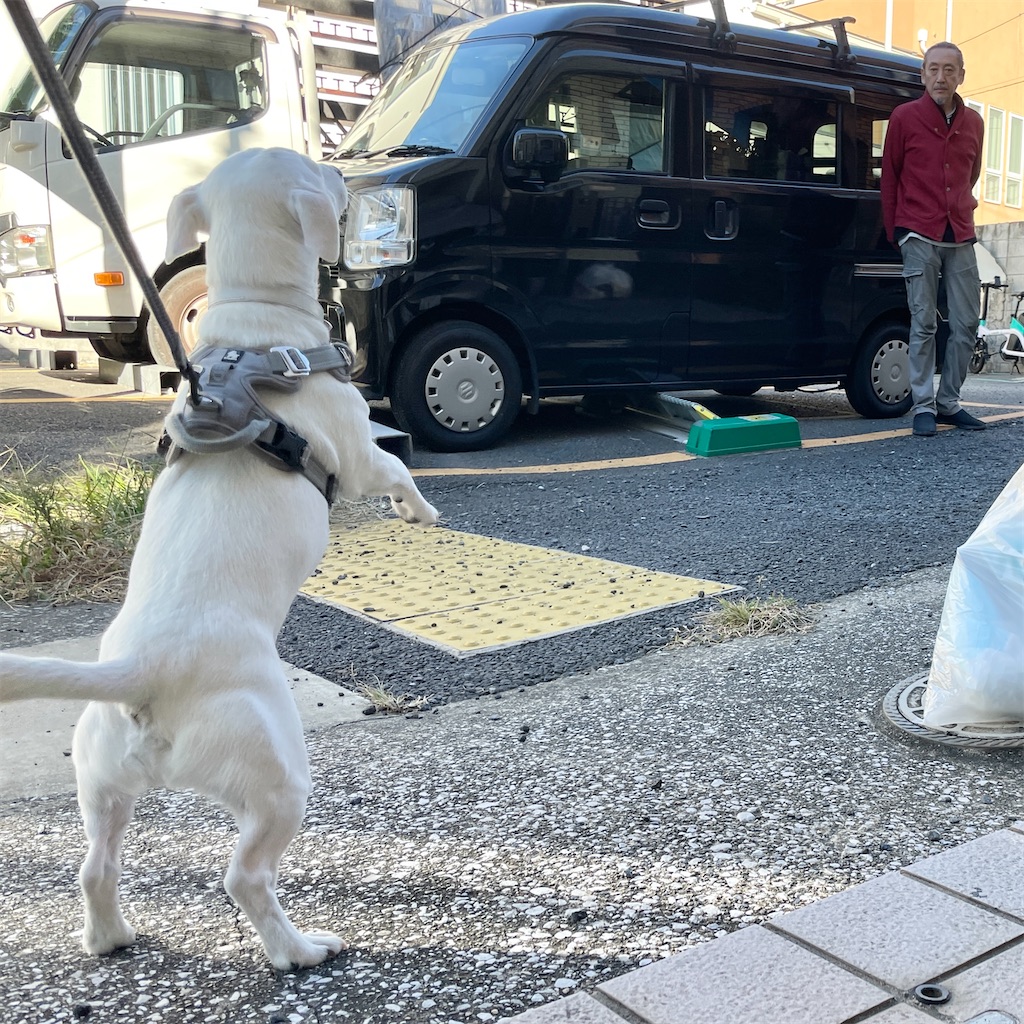 f:id:EBISUINU:20231106170353j:image