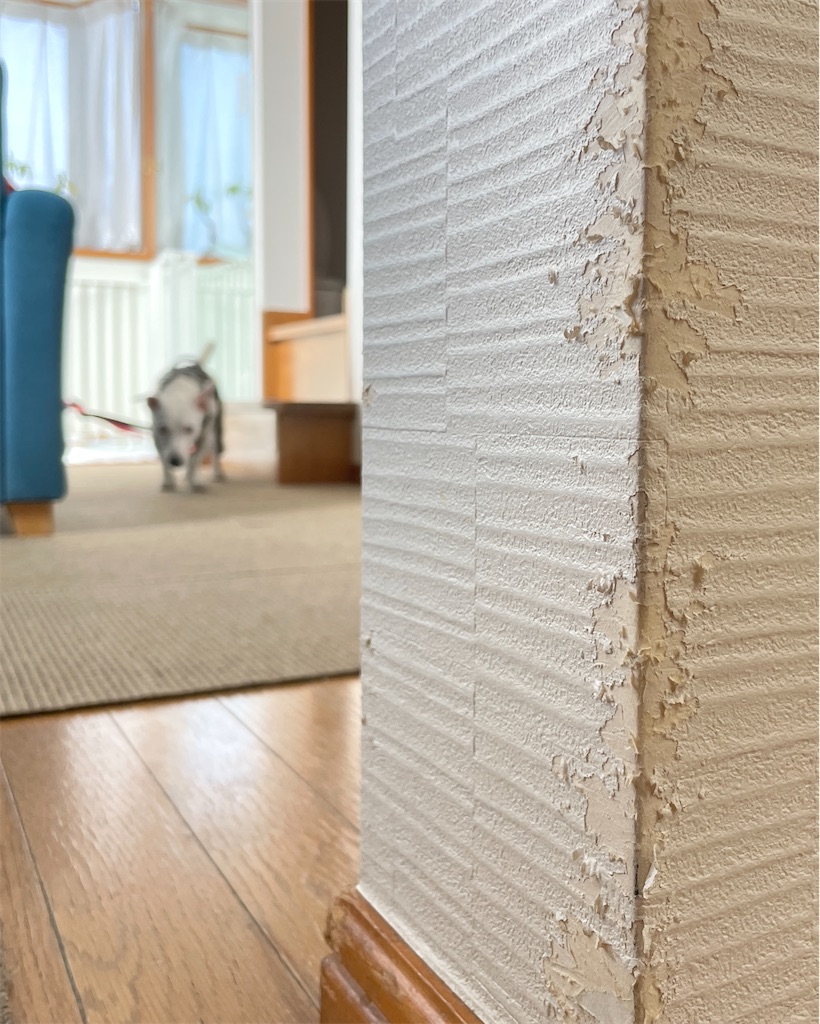 f:id:EBISUINU:20231106170430j:image