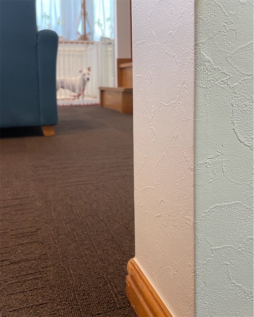 f:id:EBISUINU:20231106170433j:image