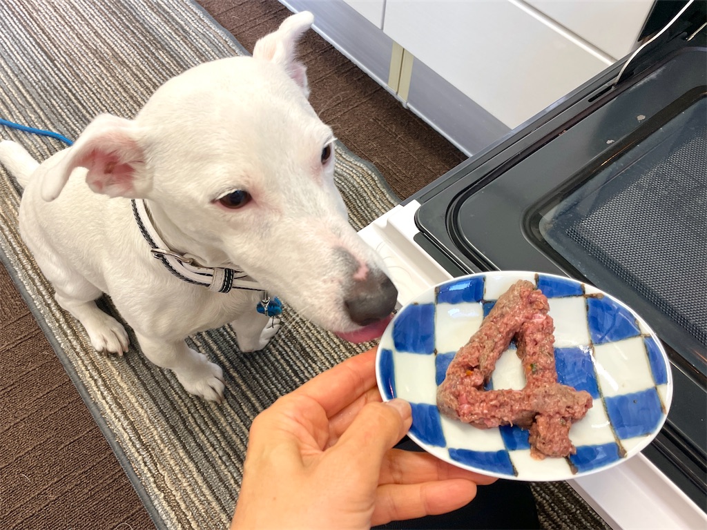 f:id:EBISUINU:20231210125112j:image f:id:EBISUINU:20231210125112j:image