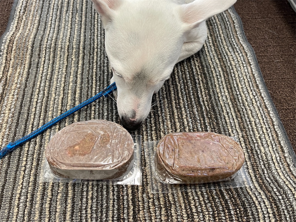 f:id:EBISUINU:20231210125151j:image f:id:EBISUINU:20231210125151j:image