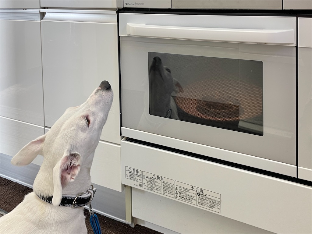 f:id:EBISUINU:20231210125317j:image f:id:EBISUINU:20231210125317j:image