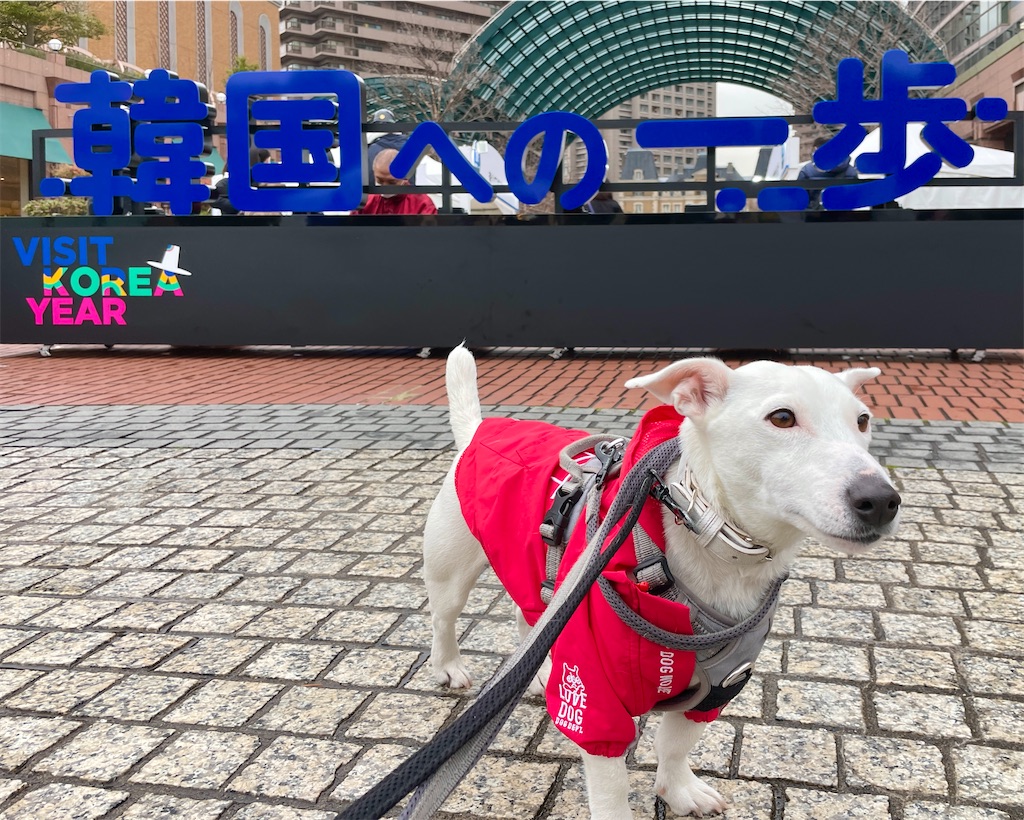 f:id:EBISUINU:20240323205323j:image f:id:EBISUINU:20240323205323j:image