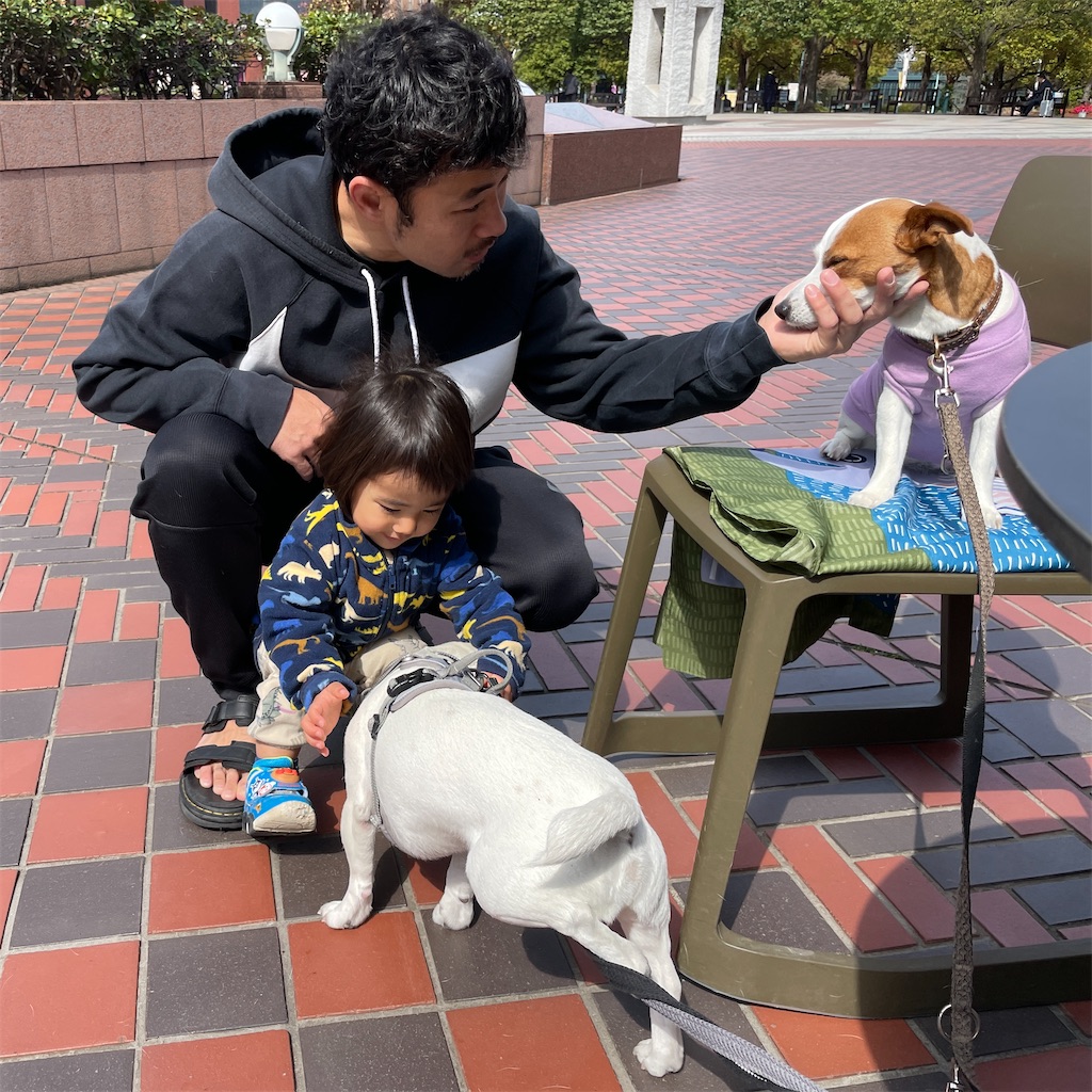 f:id:EBISUINU:20240414222436j:image f:id:EBISUINU:20240414222436j:image