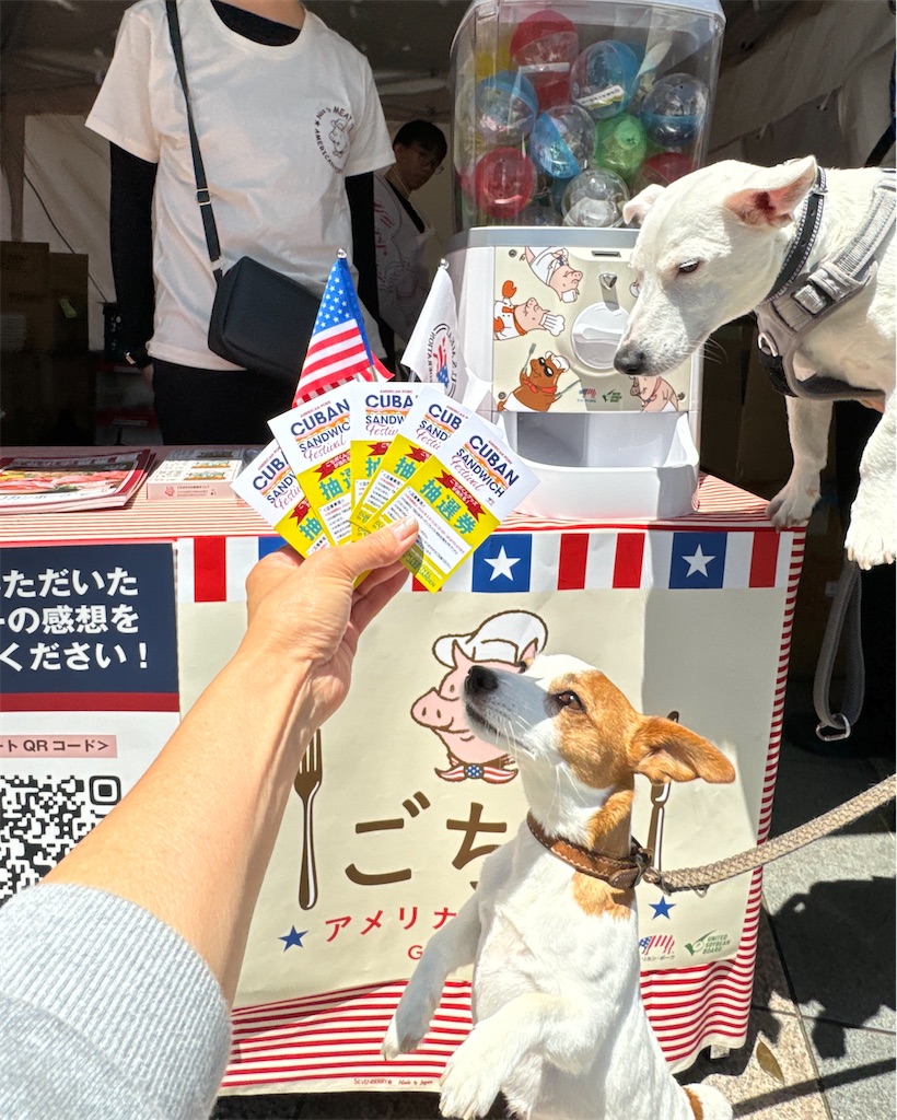 f:id:EBISUINU:20240511185459j:image f:id:EBISUINU:20240511185459j:image