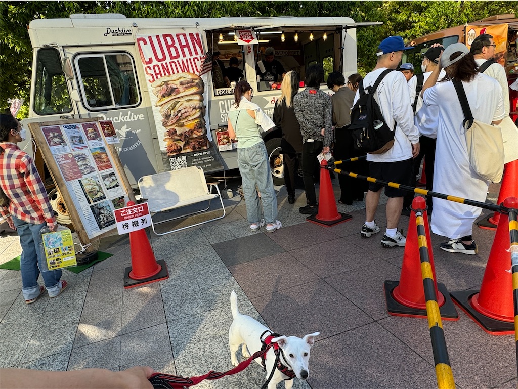 f:id:EBISUINU:20240511185641j:image