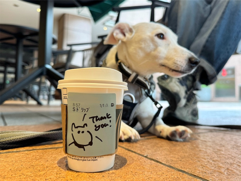 f:id:EBISUINU:20240516192840j:image f:id:EBISUINU:20240516192840j:image