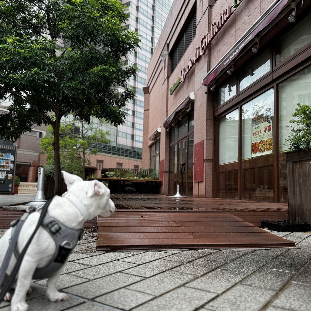 f:id:EBISUINU:20240816110045j:image f:id:EBISUINU:20240816110045j:image