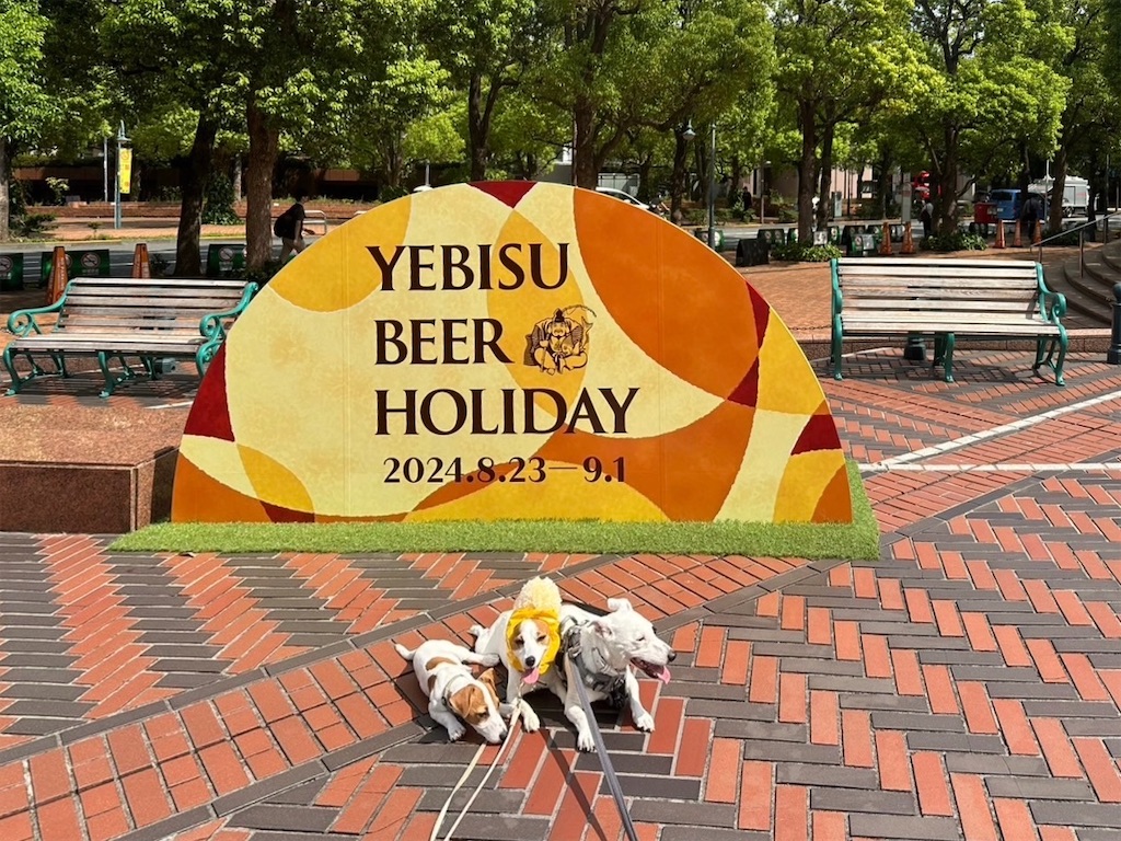 f:id:EBISUINU:20240824133135j:image