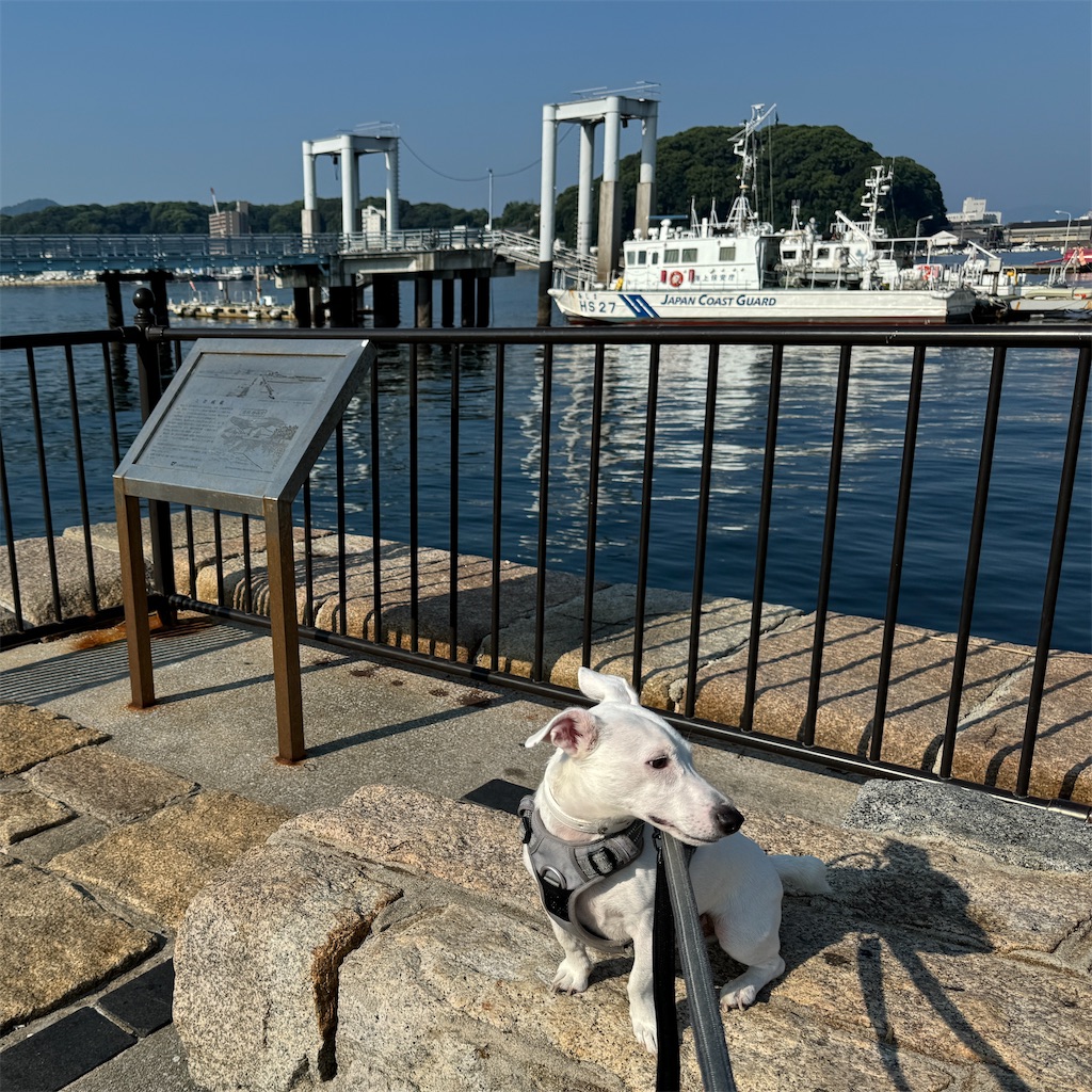f:id:EBISUINU:20240908100216j:image f:id:EBISUINU:20240908100216j:image