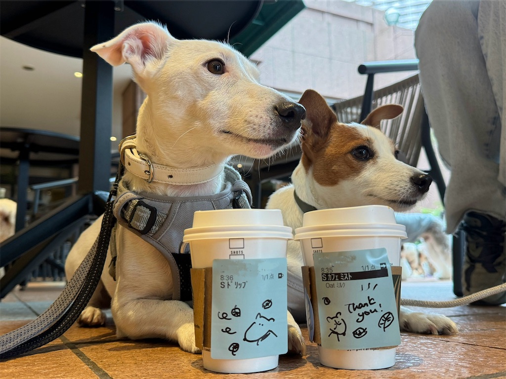 f:id:EBISUINU:20241010142800j:image f:id:EBISUINU:20241010142800j:image