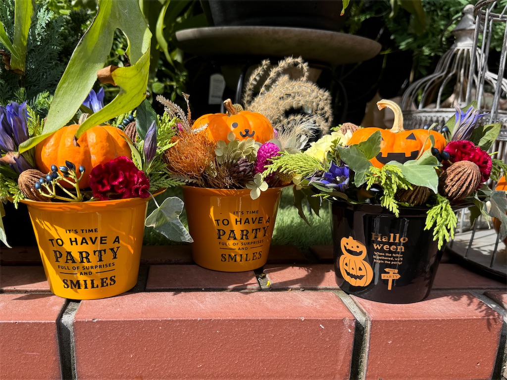 f:id:EBISUINU:20241019190411j:image