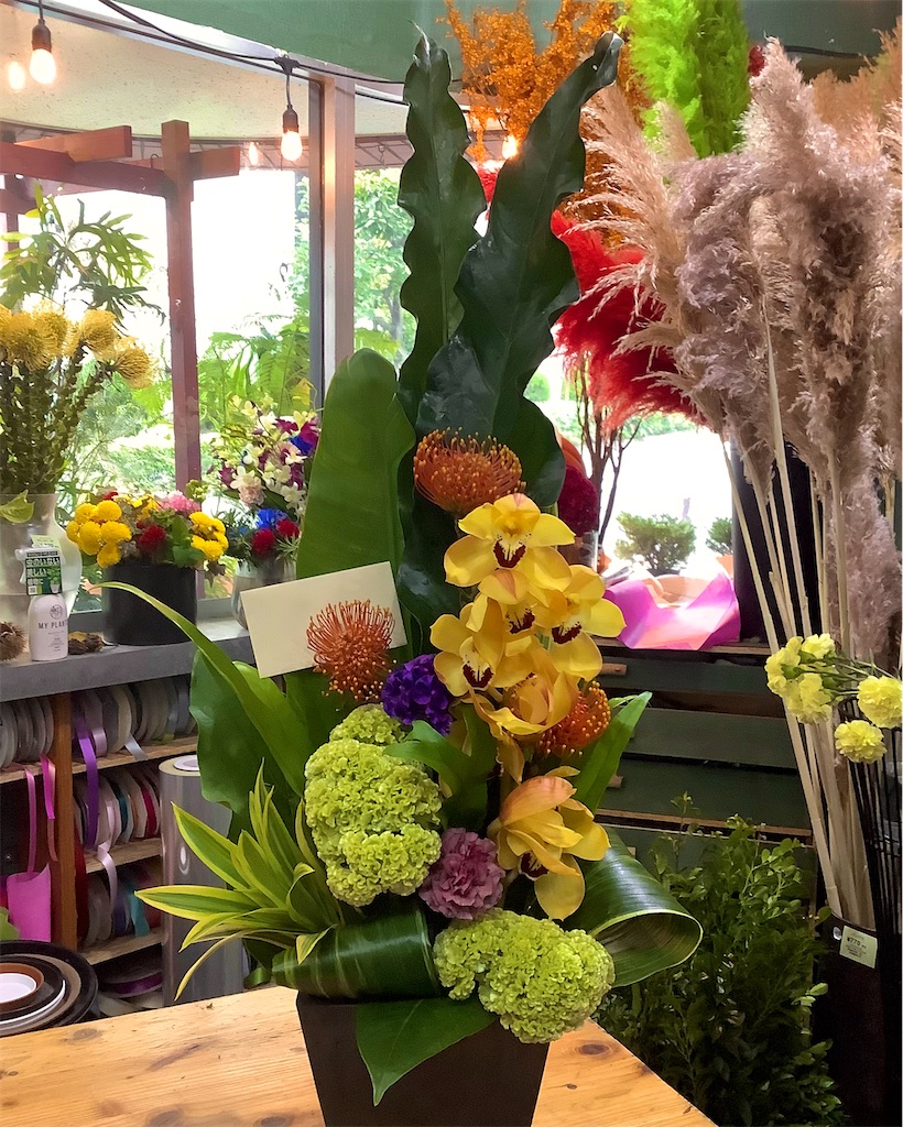 f:id:EBISUINU:20241019193504j:image