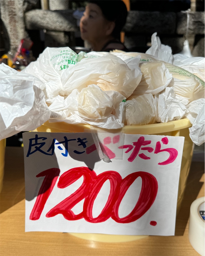 f:id:EBISUINU:20241020144645j:image f:id:EBISUINU:20241020144645j:image