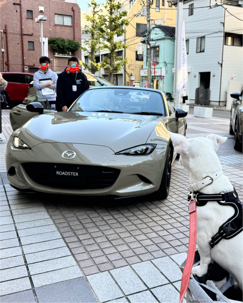 f:id:EBISUINU:20241103214747j:image