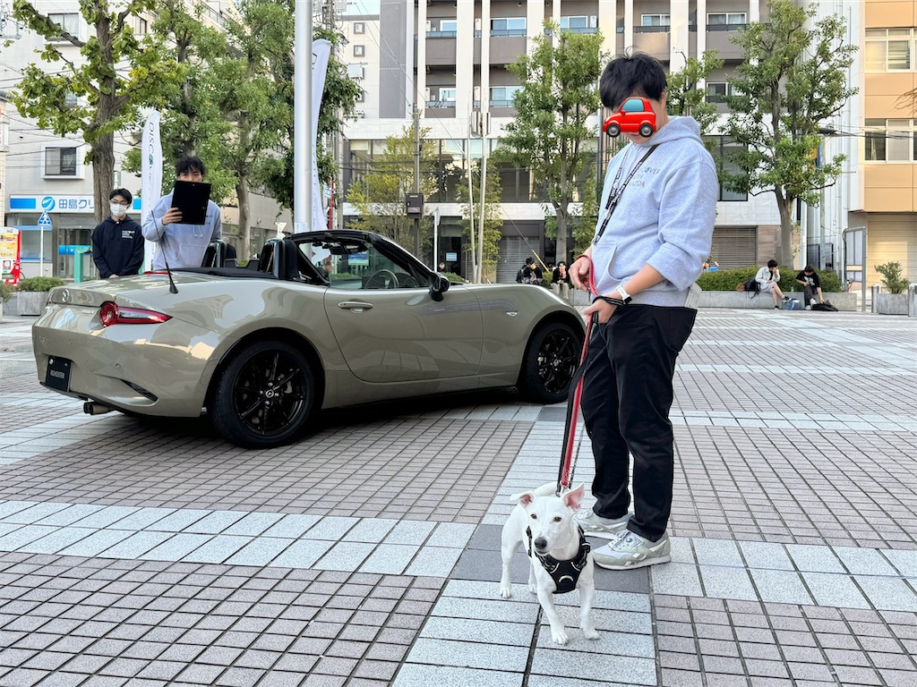 f:id:EBISUINU:20241104201624j:image