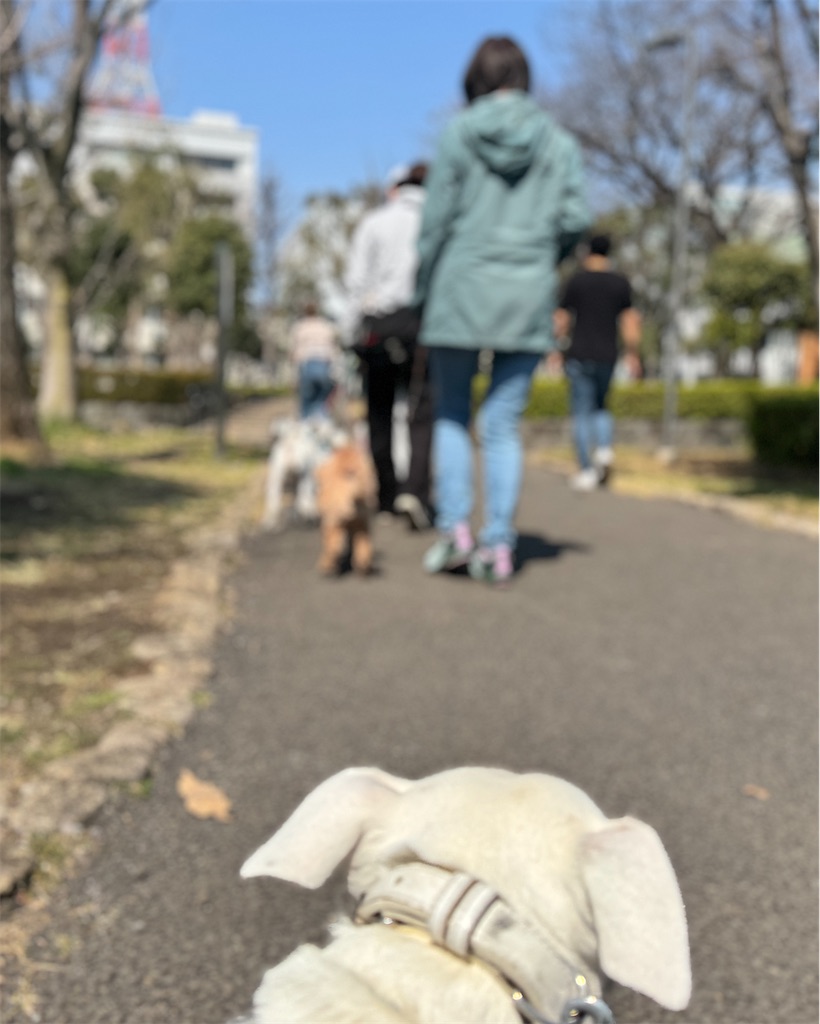 f:id:EBISUINU:20250323224611j:image f:id:EBISUINU:20250323224611j:image