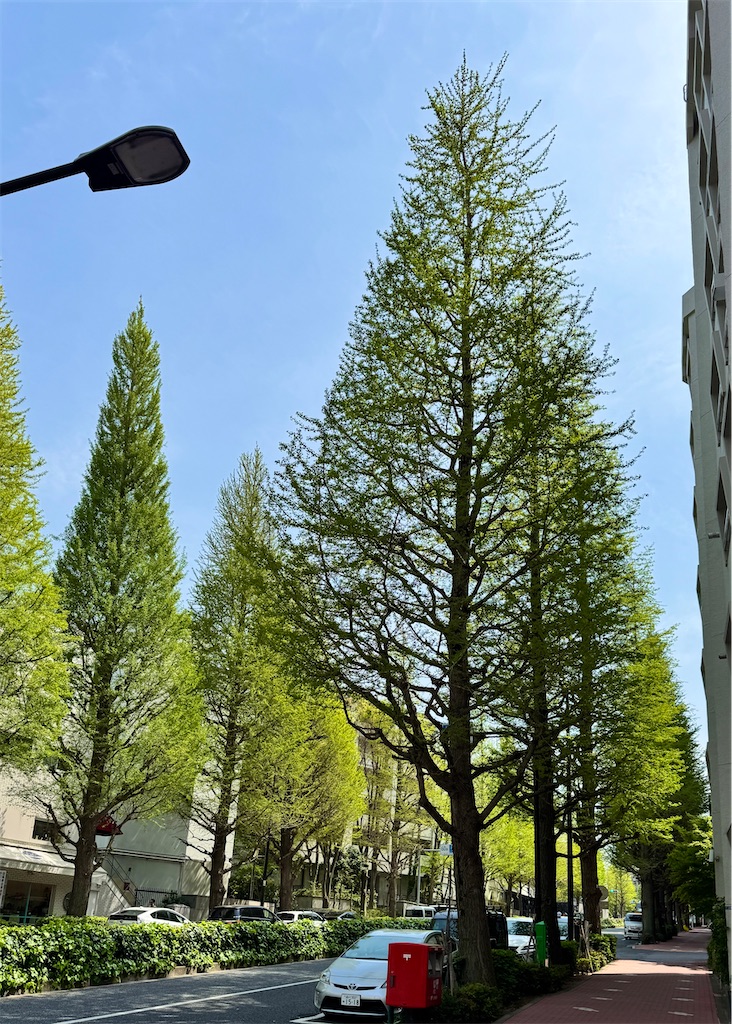 f:id:EBISUINU:20250428084515j:image f:id:EBISUINU:20250428084515j:image