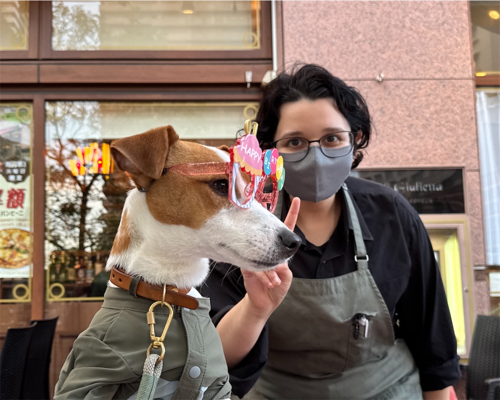 f:id:EBISUINU:20250428131453j:image