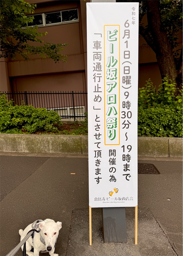 f:id:EBISUINU:20250529082419j:image f:id:EBISUINU:20250529082419j:image