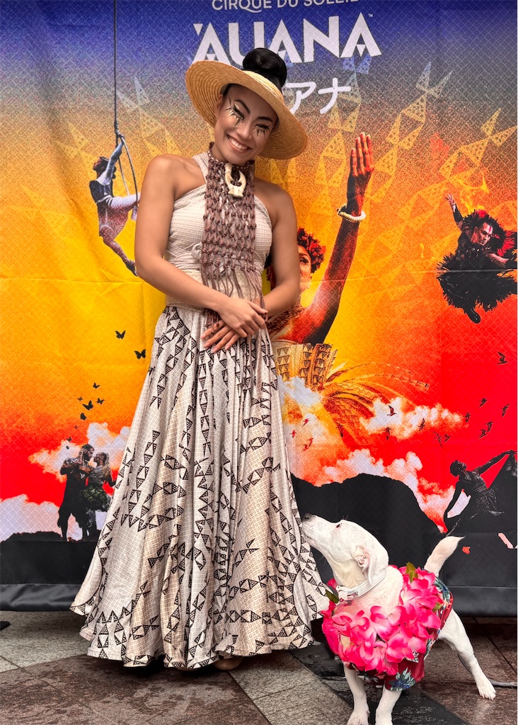 f:id:EBISUINU:20250531152427j:image f:id:EBISUINU:20250531152427j:image