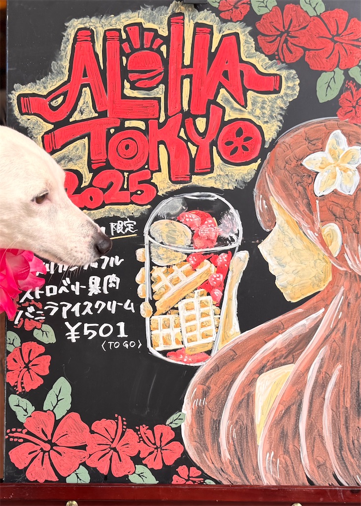 f:id:EBISUINU:20250531152708j:image f:id:EBISUINU:20250531152708j:image