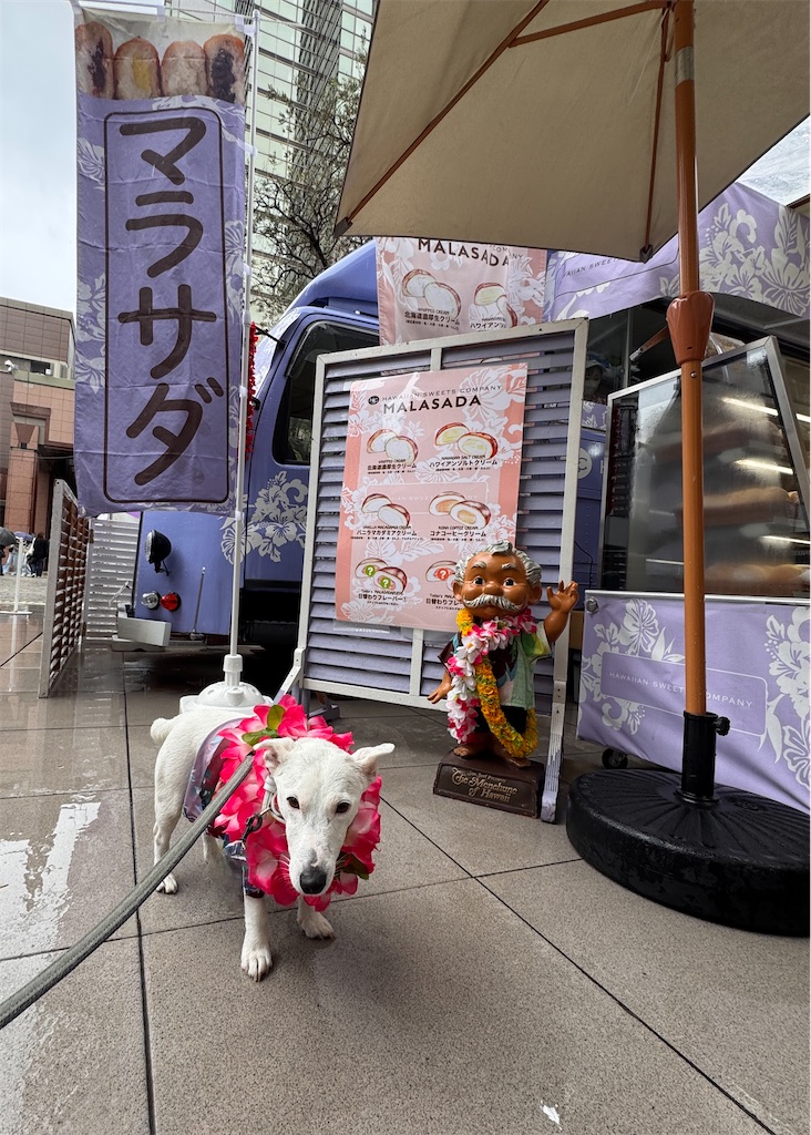 f:id:EBISUINU:20250531152738j:image f:id:EBISUINU:20250531152738j:image